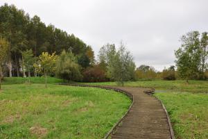 Marais de Baffou 2 