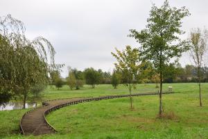 Marais de Baffou 