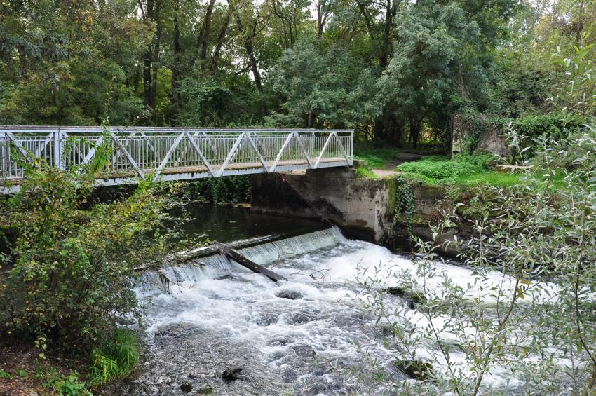 Le Thouet traversant le hameau de Saumoussay